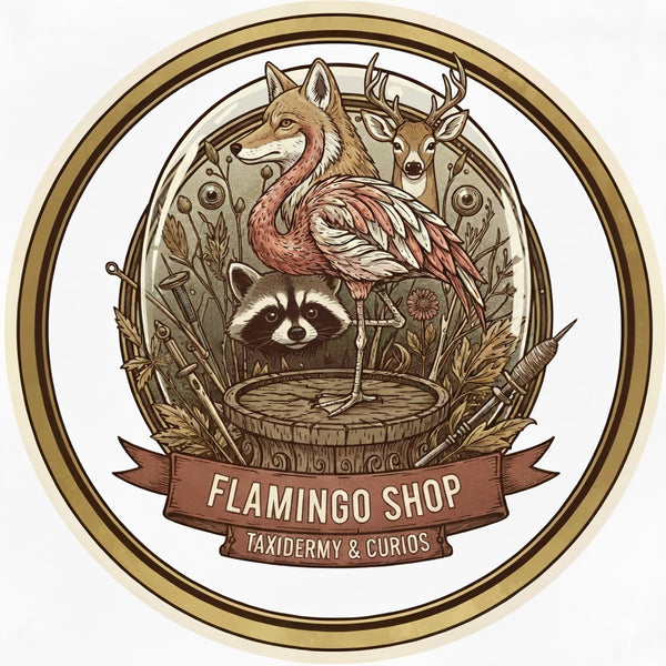 My Store